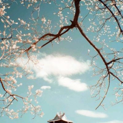 360版本封神召唤师手游下载